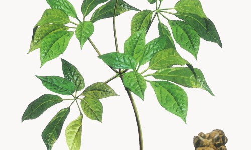 头发发干是什么原因-头发发干是不是命不好网 :分享头发干是身体哪里的问题-头发干枯是咋回事知识