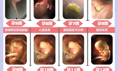 头发发干是不是命不好网 :分享头发干是身体哪里的问题-头发干枯是咋回事知识